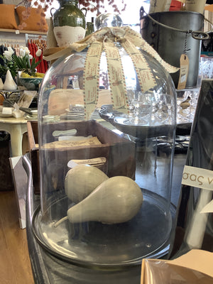 Large Glass Cloche & Base
