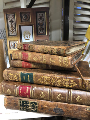 Antique French leatherbound books