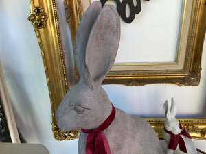 Harold the Hare - Extra Large - Grey